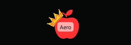 Aeroberry.com